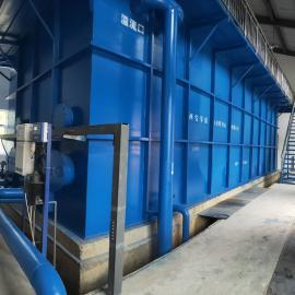 净水新纪元 一体化净水器，开启全屋健康饮水新篇章